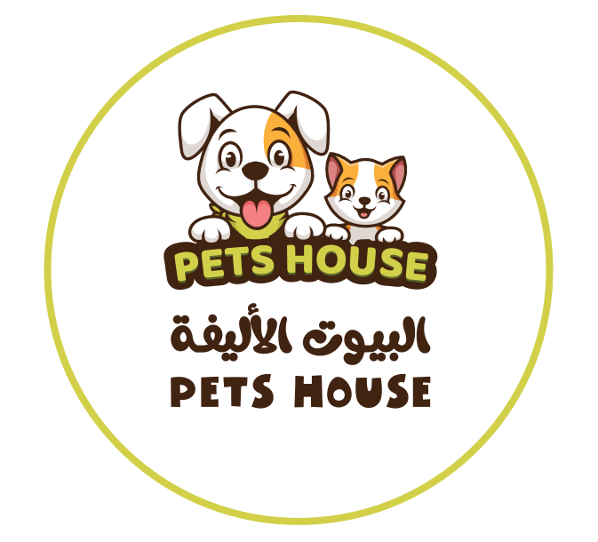 لقطة الشاشة 2024-06-08 135638
